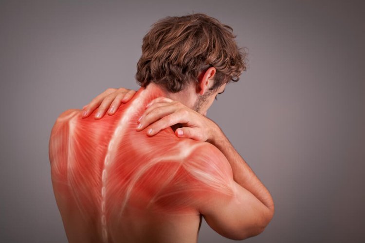 Lower Back Pain When Muscle Strain